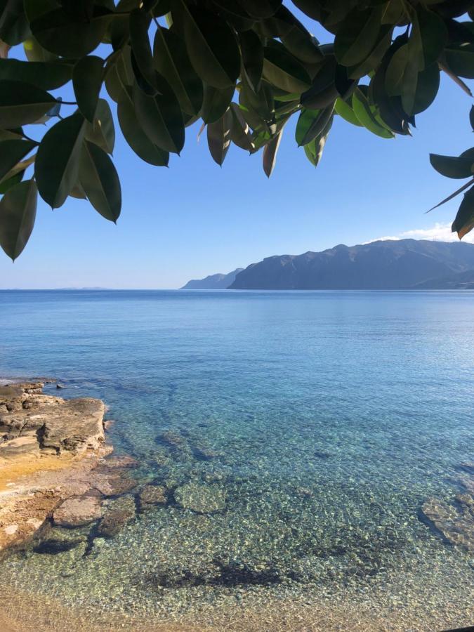 The Island House - Family Size - Overlooking The Aegean - 3 Steps From The